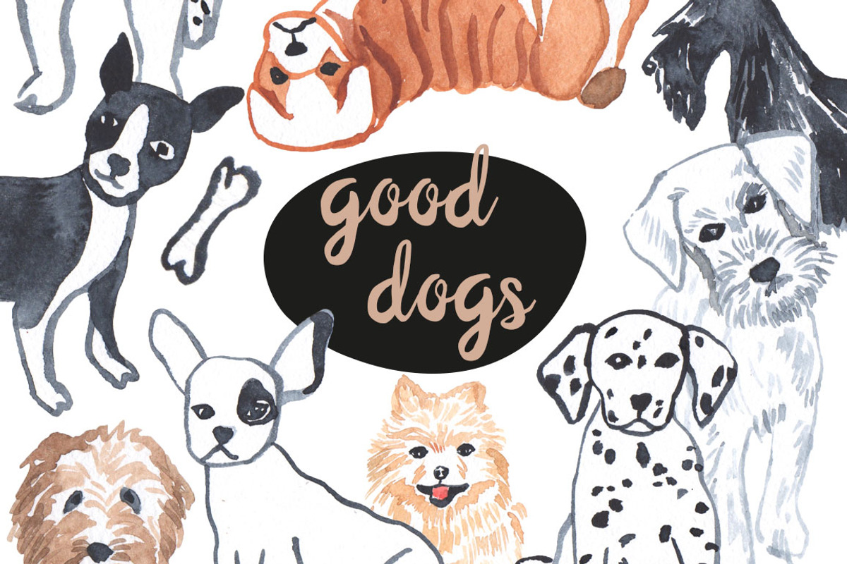 Good dog. Animal set, an Animal Illustration by Anyuka (Photo 1 of 6)