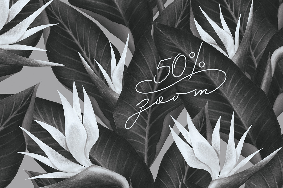 Bird of Paradise patterns, a Pattern Graphic by Bigio Designs (Photo 7 of 7)