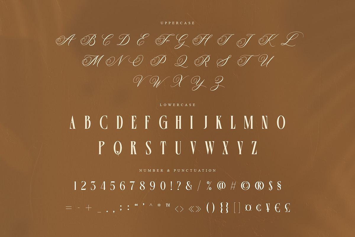 Velysha Grace – Hybrid Serif Script, a Serif Font by Almeera Std (Photo 9 of 10)