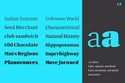 Quador, a Serif Font by fontador (Thumbnail 5 of 9)
