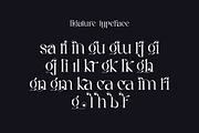 Kariin Ligature Serif Typeface, a Serif Font by Humaira_std (Thumbnail 10 of 11)