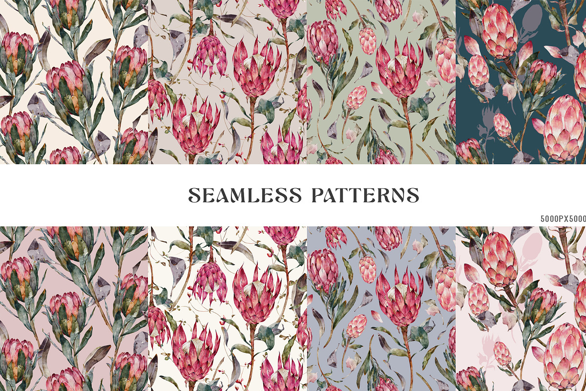Watercolor Protea Floral Elements, a Decorative Illustration by Damian Roh (Photo 11 of 12)