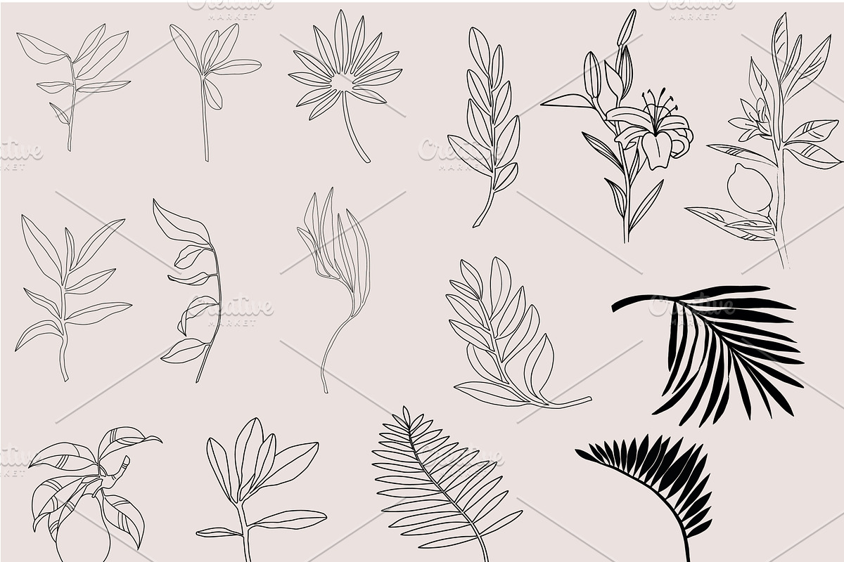 Minimalistic botanica, an Object Graphic by Mii Lab (Photo 14 of 14)