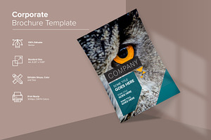 Company Brochure Design Template