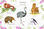 Animals Australia Watercolor, an Animal Illustration by MitrushovaArt (Thumbnail 3 of 10)