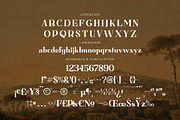 Basfegu A New Display Serif Font, a Serif Font by Storytype Studio (Thumbnail 13 of 15)
