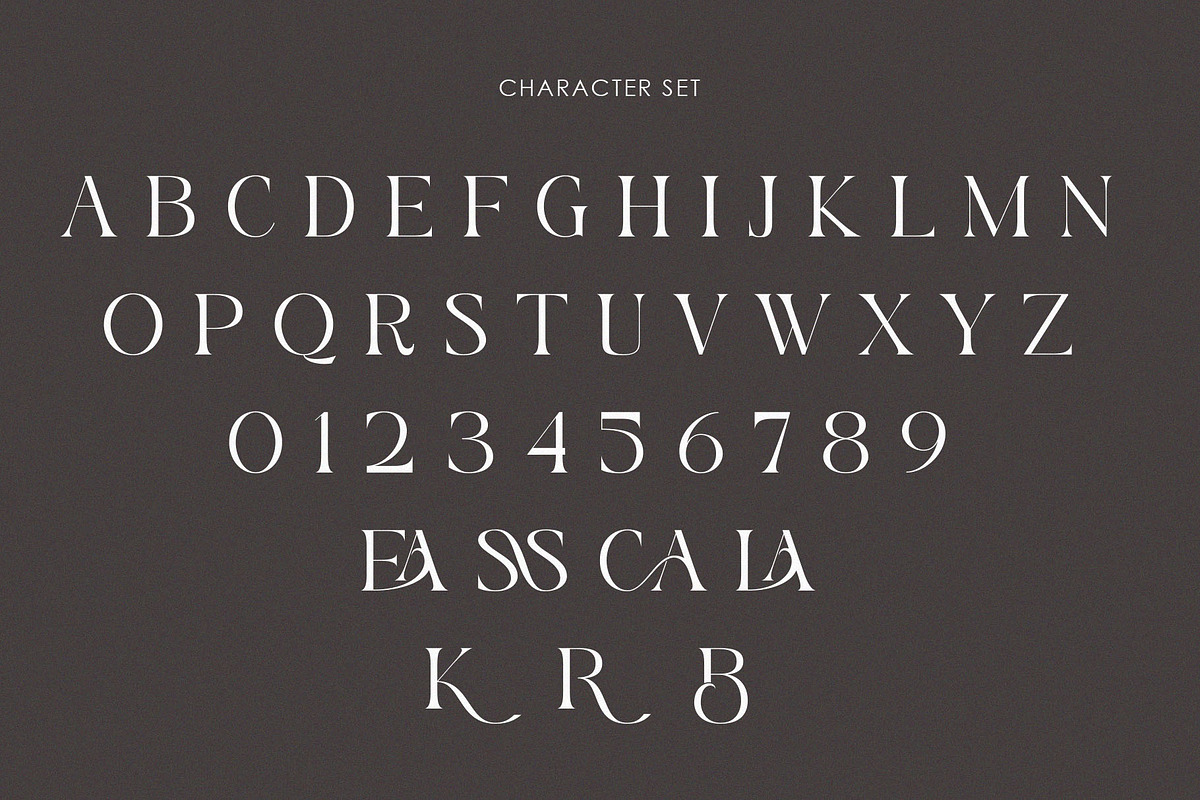 CARMILA, a Serif Font by Muflieart (Photo 6 of 7)