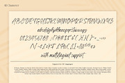 Yellow Palette, a Script Font by din-studio.com (Thumbnail 9 of 10)
