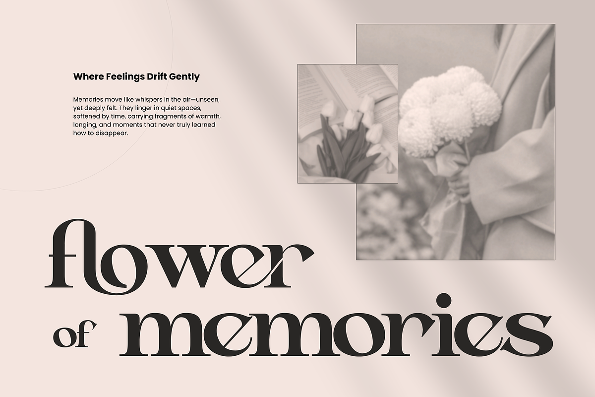 Aseno Modern - Ligatures Serif Font, a Serif Font by Nirmana Visual (Photo 17 of 17)