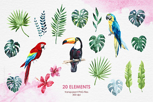 Watercolor Tropical Birds & Plants