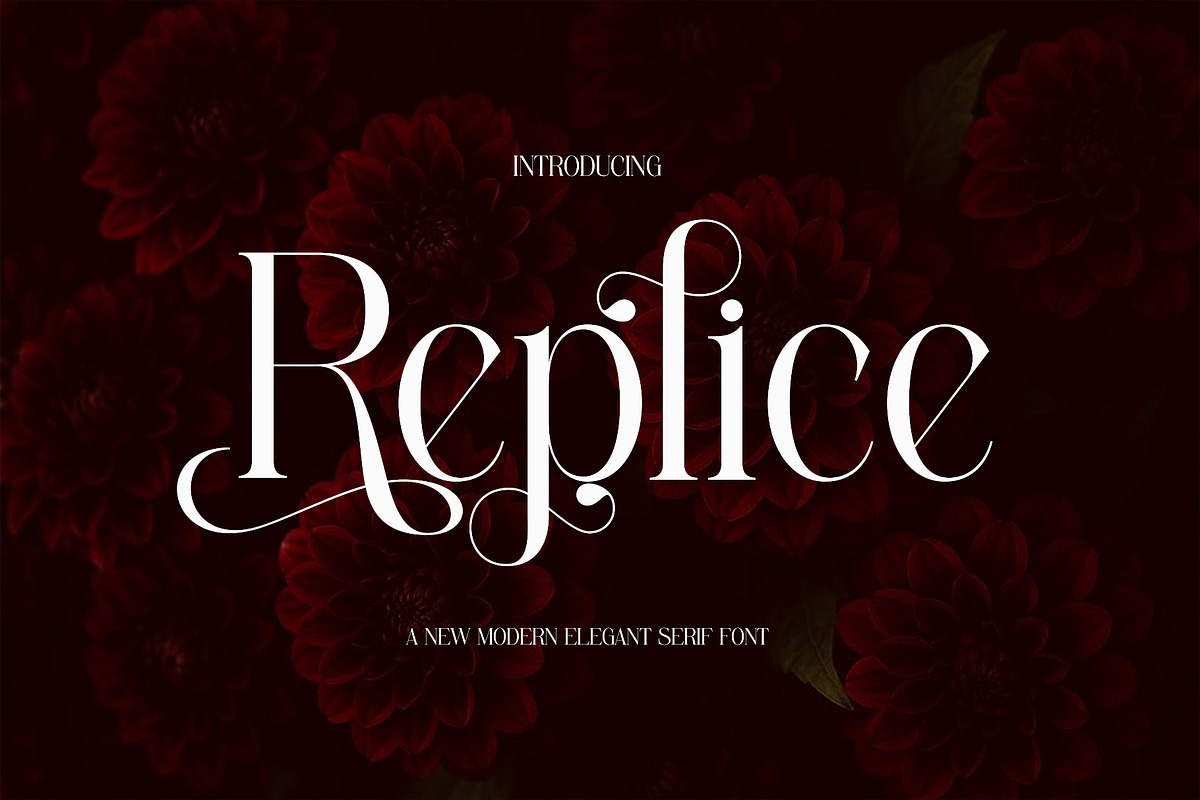 Replice Modern Elegant Serif, a Serif Font by Alfinart (Photo 1 of 11)