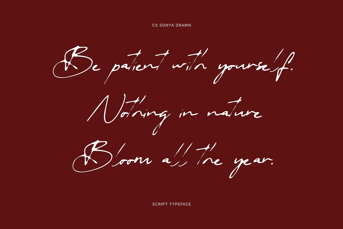 CS Sonya Drawn, a Script Font by Craft Supply Co. (Photo 2 of 8)