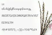 Delicate Romance Font Duo, a Script Font by Kristy Hatswell (Thumbnail 6 of 8)