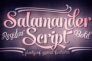 Salamander Script, a Script Font by Fenotype (Thumbnail 1 of 5)