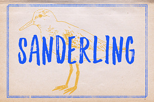 Sanderling Textured Font, a Script Font by Lettering Supply Co.