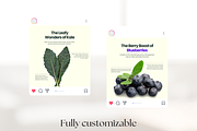 Food Benefit Infographics I Canva, a Social Media Template by The Social Stuff (Thumbnail 10 of 15)