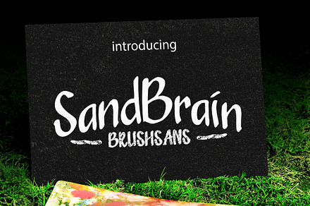 SandBrain - Font Family | 30% OFF, a Font by Barland Design