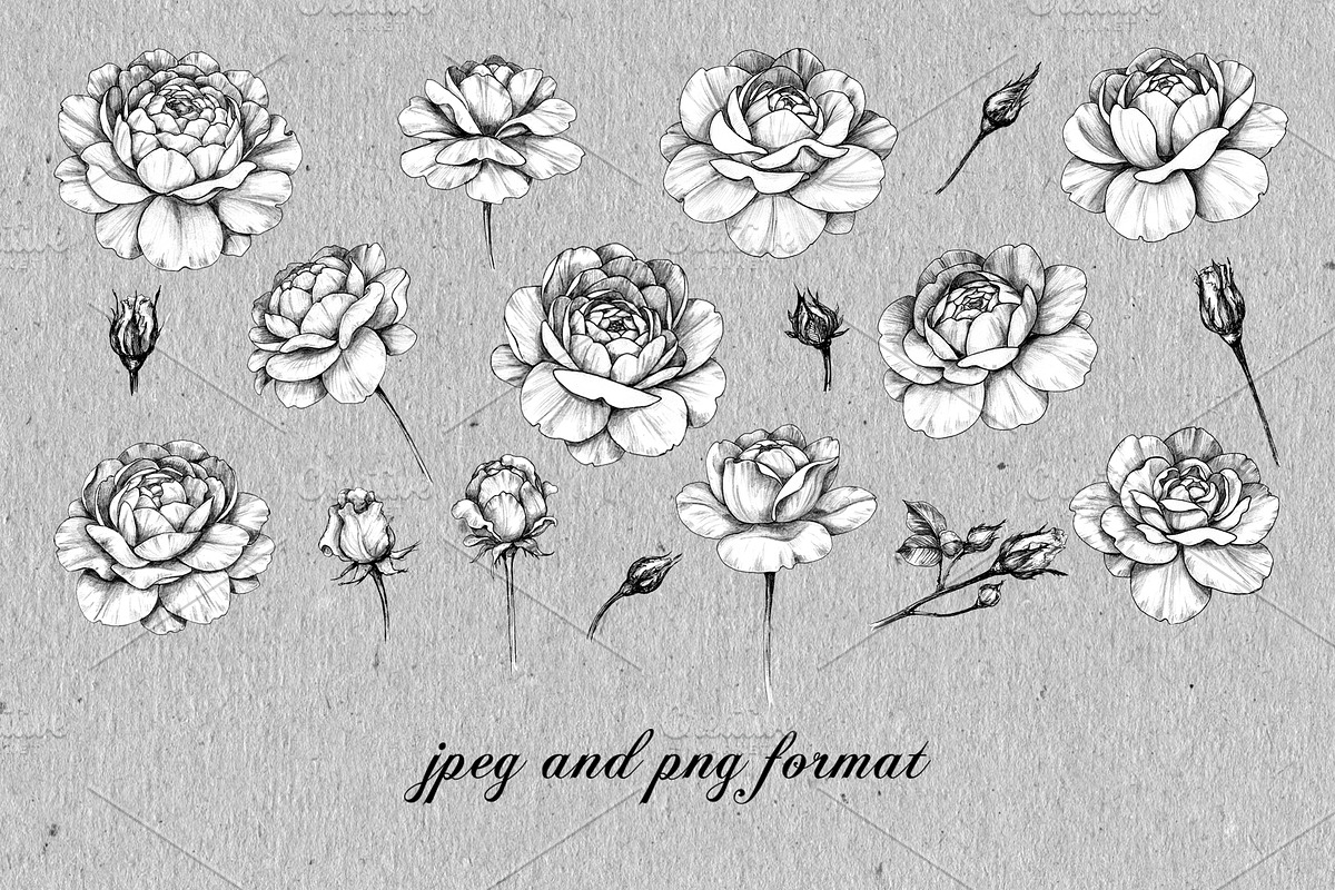 Elegant Roses Arrangements, a Decorative Illustration by Valentyna Smordova (Photo 2 of 13)