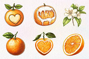Watercolor Oranges Clipart Sublimati, an Illustration by CreationArt (Thumbnail 4 of 5)