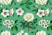 White summer nature illustrations, an Illustration by Sundra (Thumbnail 3 of 5)