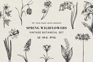 Spring Wildflower Vintage Vector Set