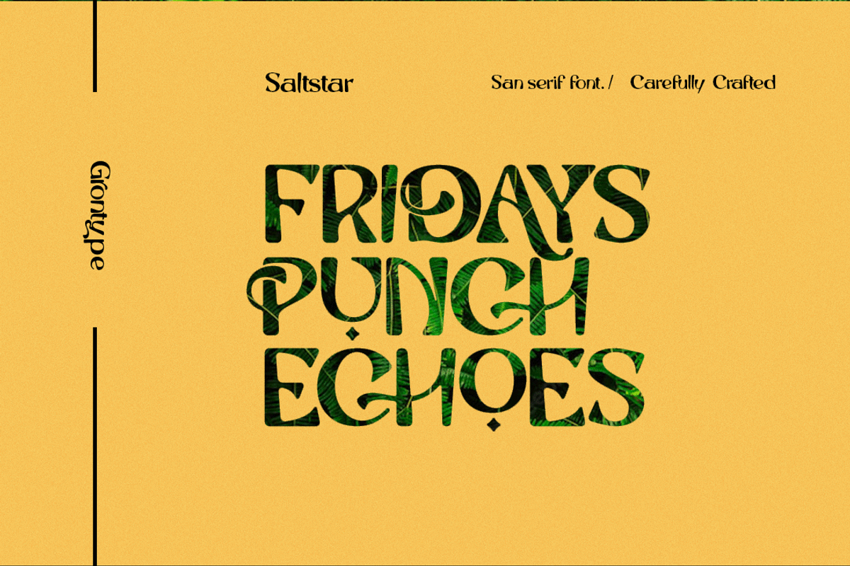Saltstar Font, a Sans Serif Font by Grontype (Photo 2 of 12)