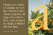 CS Henar – Elegant Font, a Serif Font by Craft Supply Co. (Thumbnail 7 of 8)