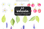 Watercolor Botanical DIY pack, an Illustration by Mockup Up! (Thumbnail 2 of 4)