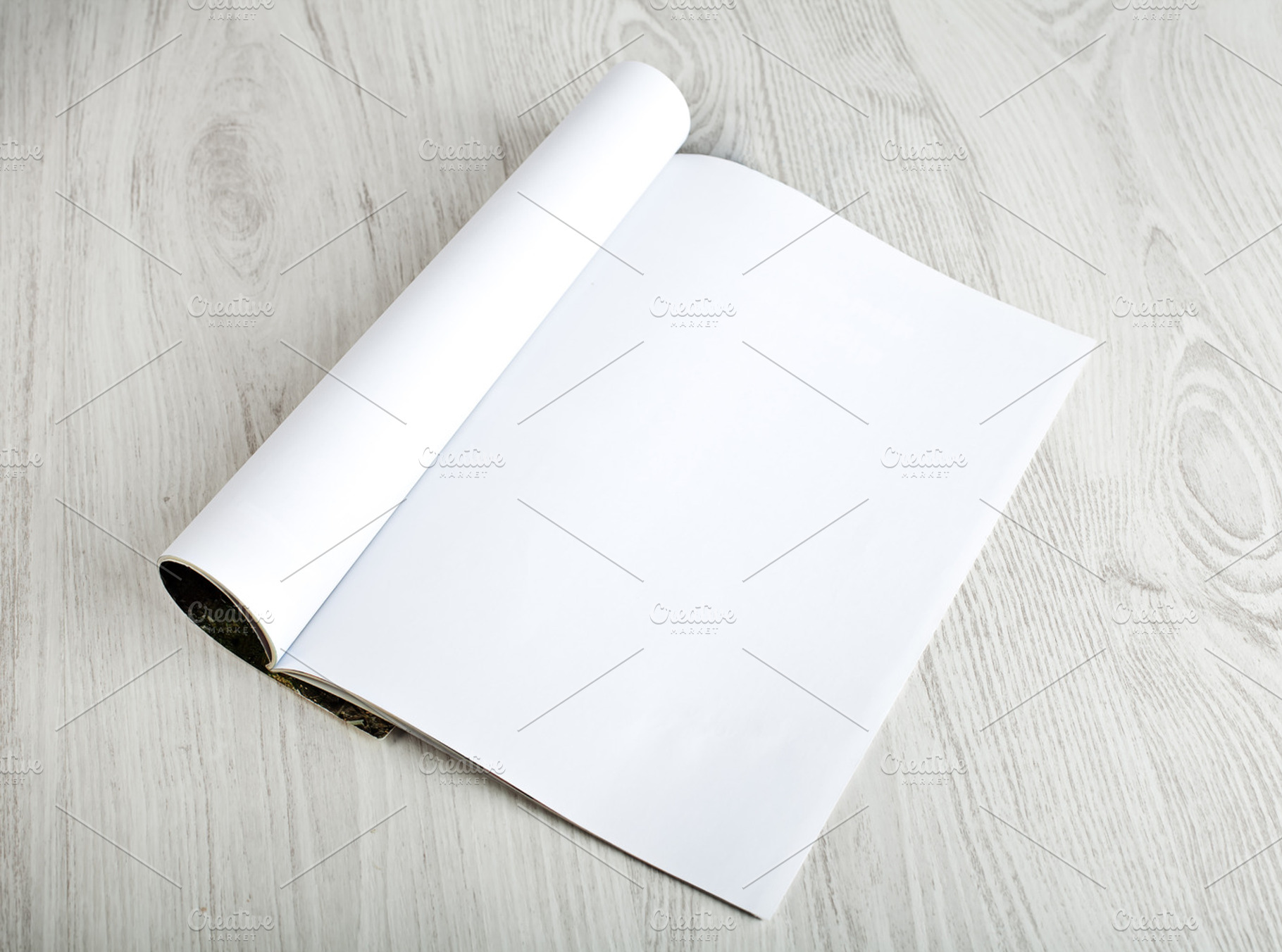 Open magazine with blank pages containing background, blank, and booklet