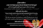 Maheera Font, a Script Font by cove703 (Thumbnail 11 of 12)
