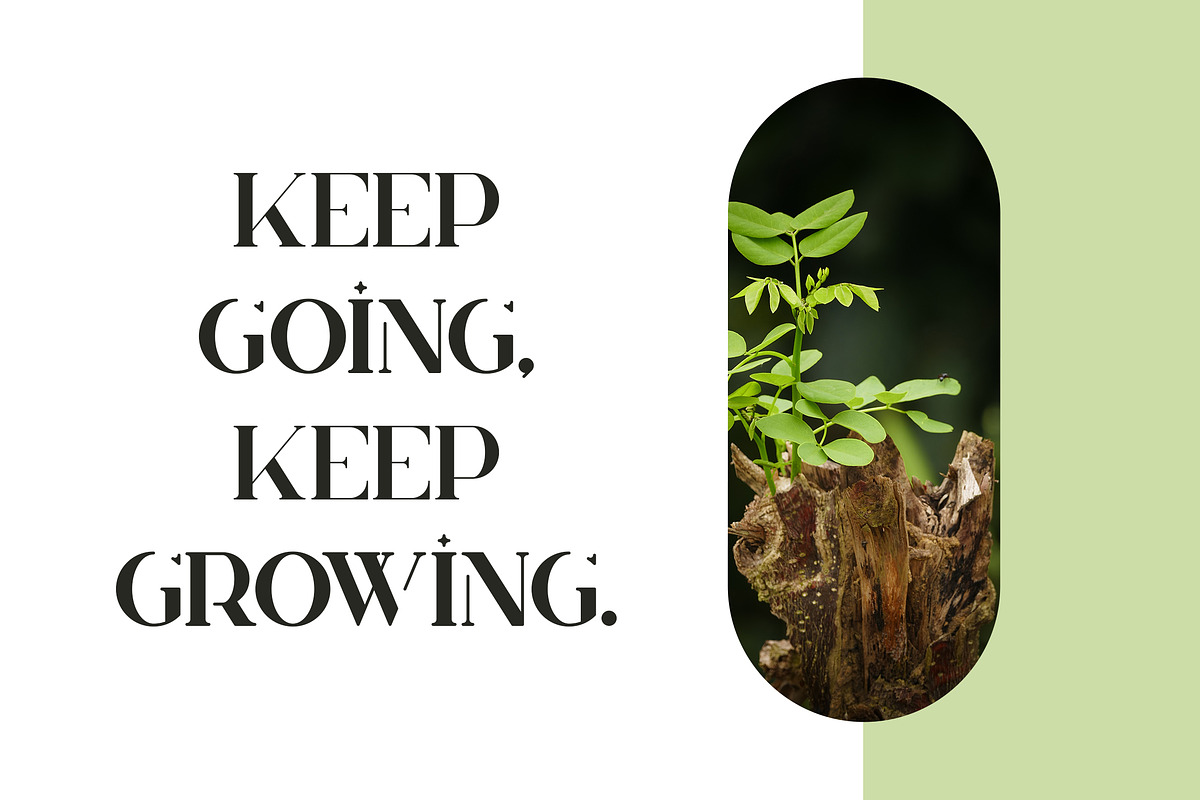 Huova Serif Typeface | 8 fonts, a Serif Font by VP Fonts (Photo 5 of 10)