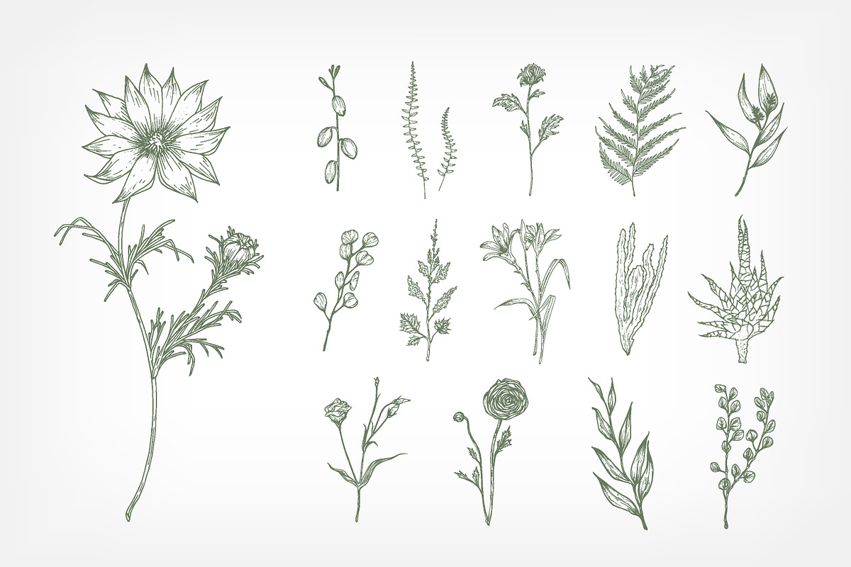 Hand drawn flowers set and seamless, a Decorative Illustration by Good Studio (Photo 3 of 11)