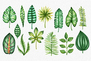 Watercolor Tropical Leaves, a Decorative Illustration by Chelovector (Thumbnail 2 of 5)