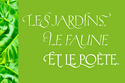 Hellen - Serif Font, a Serif Font by Genilson Santos (Thumbnail 10 of 21)