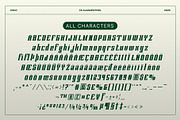 CS Alsager Pixel, a Serif Font by Craft Supply Co. (Thumbnail 8 of 8)