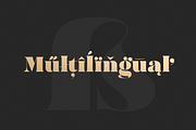 MADE Bruno, a Serif Font by MadeType (Thumbnail 11 of 19)