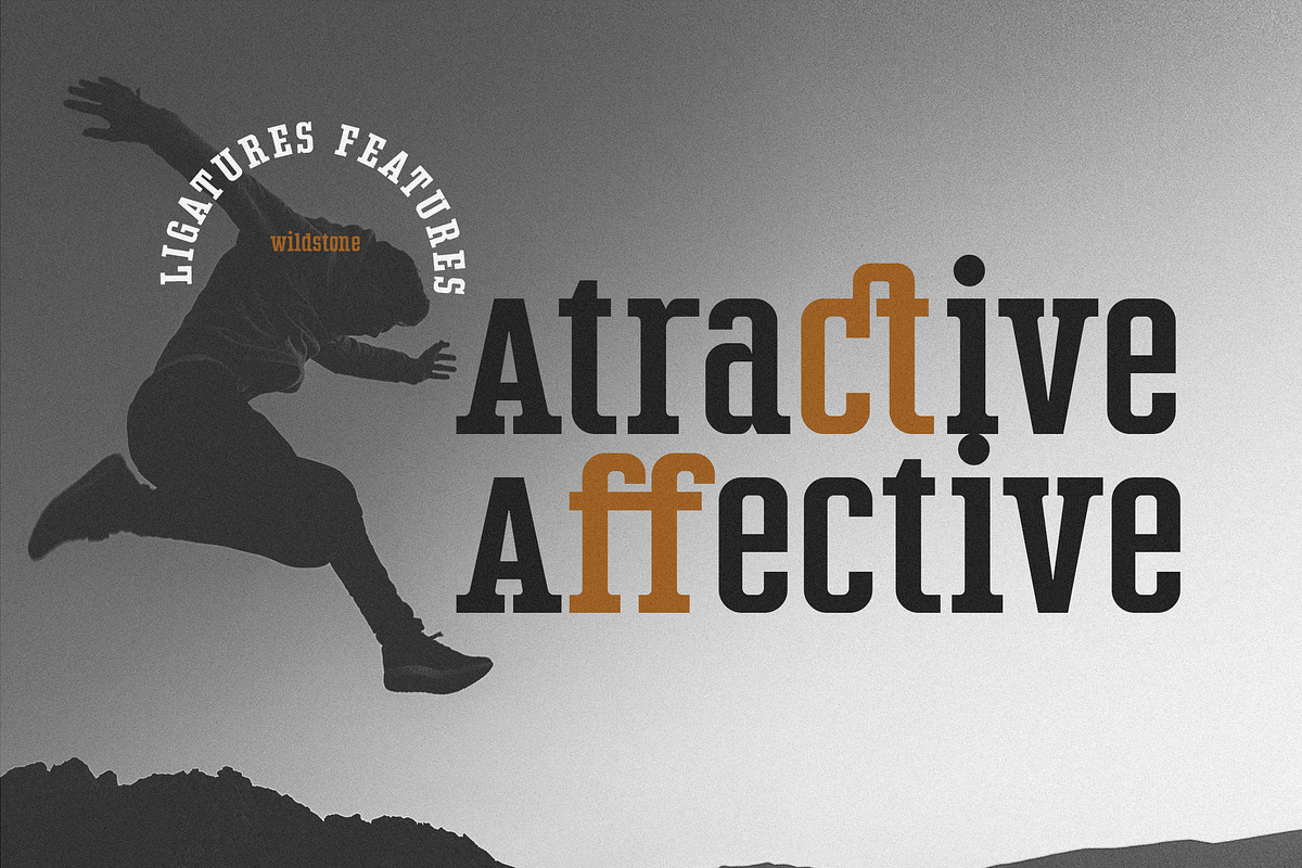 Wildstone Slab, a Slab Serif Font by Typia Nesia (Photo 9 of 12)