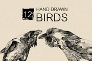12 Hand drawn birds, an Animal Illustration by Daria Maier (Thumbnail 3 of 5)