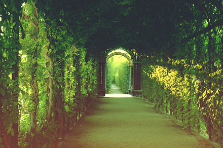 Green path containing green path, summer, and trees