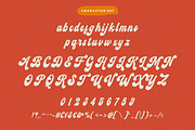 Retro Harmony Font, a Script Font by HansCo Studio (Thumbnail 9 of 11)