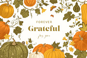 Happy Harvest, a Decorative Illustration by olga.korneeva (Thumbnail 15 of 21)