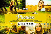 Phoniex Lightroom Presets, an Action Add-On by DreamColor (Thumbnail 1 of 10)