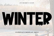 Winter, a Serif Font by FreshTypeINK (Thumbnail 1 of 8)