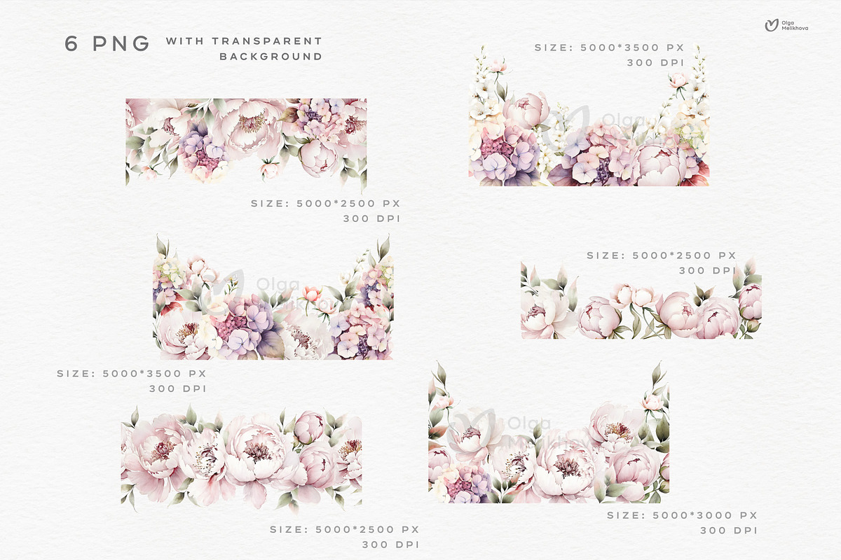Pink Bloom, Watercolor peonies, an Object Illustration by ollalya (Photo 2 of 7)