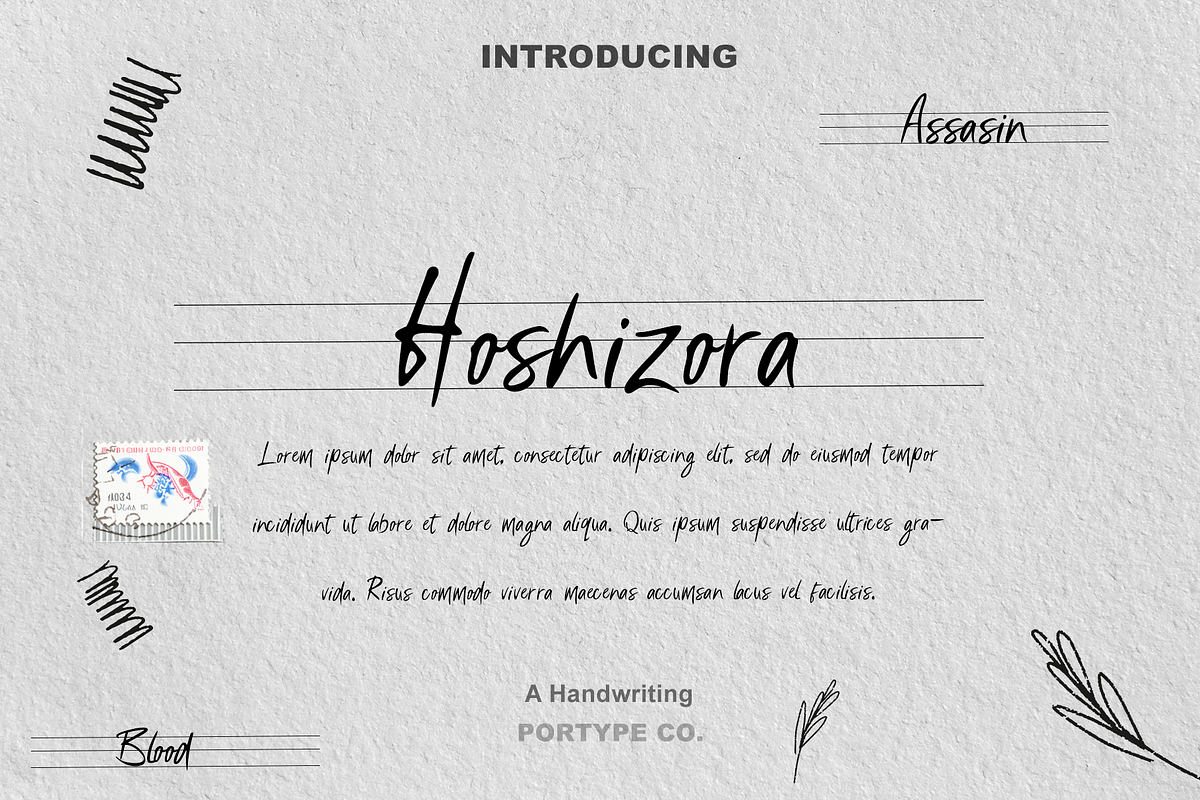 Hoshizora Font, a Handwritten Font by portype (Photo 1 of 5)