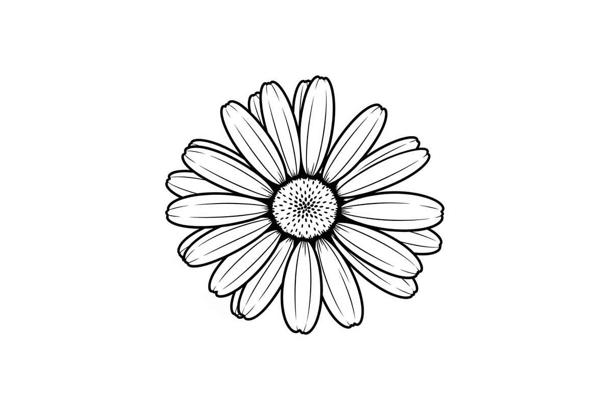 Daisy Flower Line Art Vector Bundle0, an Illustration by jahid234 (Photo 29 of 51)