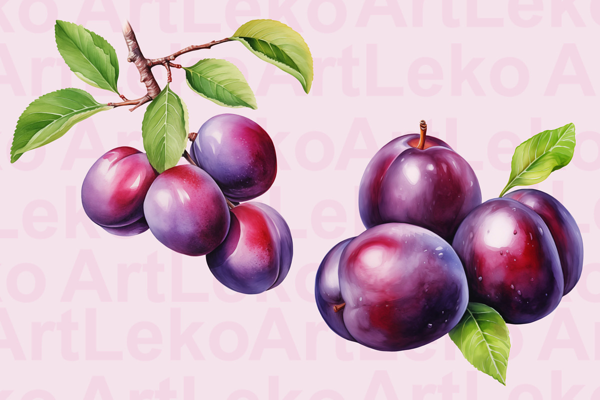 Plums Watercolor Clipart, a Food Illustration by LekoArt (Photo 4 of 10)
