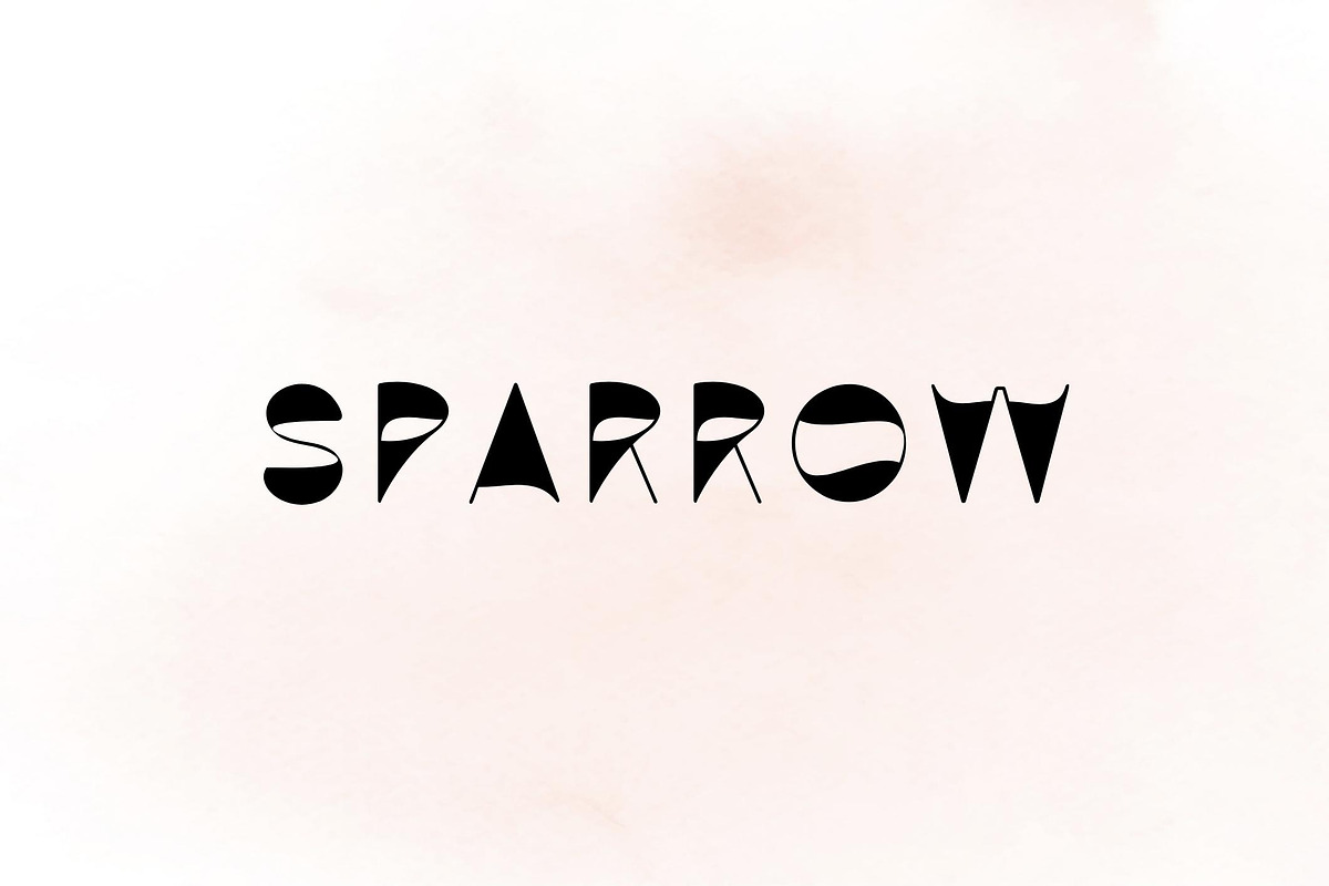 Sparrow - modern sans serif, a Sans Serif Font by Sk designs (Photo 1 of 9)