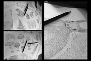 Forest Sketchbook illustrations, an Object Graphic by Fat Hamster (Thumbnail 17 of 17)
