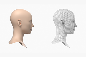 Natural Female Head 01 Generic Mesh